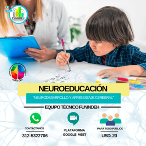 Neuroeducacion