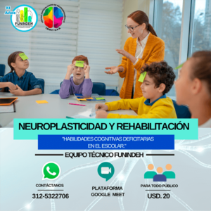 Neuroplasticidad y rehabilitacion